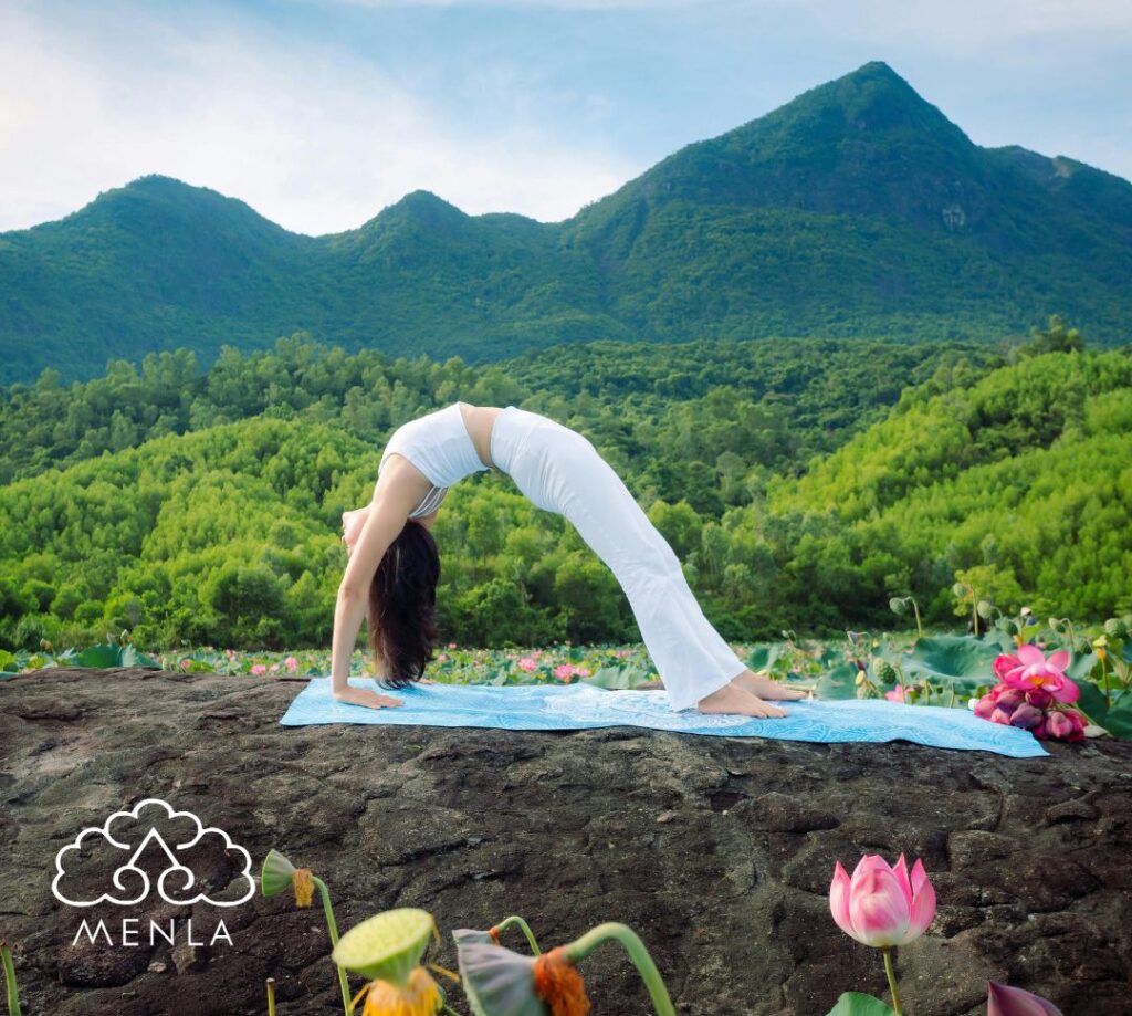 The programs featured image